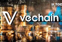 VeChain (VET) se Dispara un 45%: ¡Descubre las Razones! - Cripto Boom