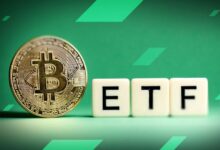 Actualización de ETFs de BTC: BlackRock Lidera Ingresos, Grayscale Enfrenta Salidas, Fidelity, Ark y Otros Muestran Movimientos Mixtos - ¡Descubre Más! - Cripto Boom