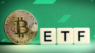 Actualización de ETFs de BTC: BlackRock Lidera Ingresos, Grayscale Enfrenta Salidas, Fidelity, Ark y Otros Muestran Movimientos Mixtos - ¡Descubre Más! - Cripto Boom