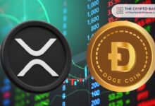 Por qué XRP y Dogecoin Podrían Dispararse: Expertos Revelan Potenciales Catalizadores - Cripto Boom