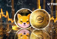 Stellar (XLM) Supera a Shiba Inu (SHIB) en Capitalización de Mercado: Descubre Más - Cripto Boom