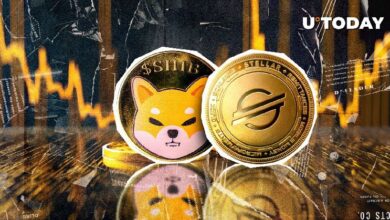 Stellar (XLM) Supera a Shiba Inu (SHIB) en Capitalización de Mercado: Descubre Más - Cripto Boom