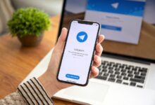 El Bot de Listados de DWF Labs ya está en Telegram: Descubre sus Funcionalidades - Cripto Boom