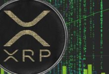 ¡XRP Alcanza Niveles Récord tras Años: Descubre las Razones y Expectativas del Aumento! - Cripto Boom