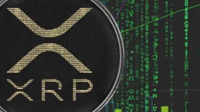 ¡XRP Alcanza Niveles Récord tras Años: Descubre las Razones y Expectativas del Aumento! - Cripto Boom