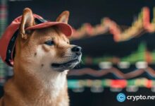 ¡Dogwifhat se dispara un 37% tras el anuncio de Coinbase sobre la cotización de WIF! Descubre más aquí. - Cripto Boom