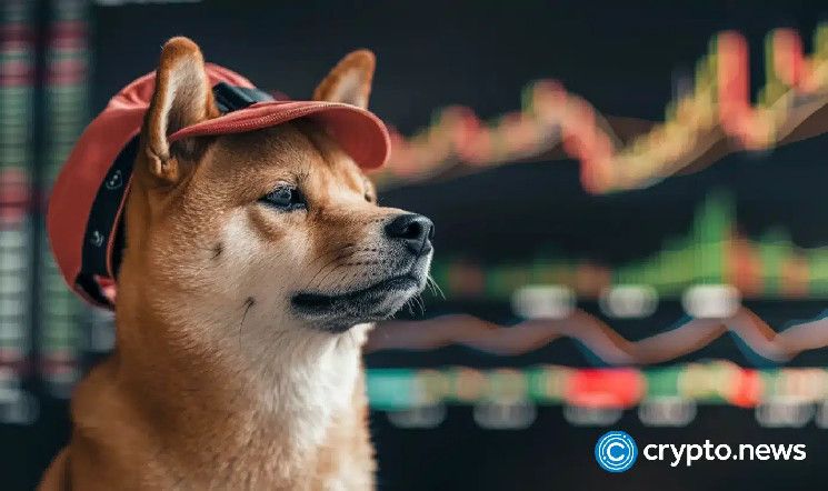 ¡Dogwifhat se dispara un 37% tras el anuncio de Coinbase sobre la cotización de WIF! Descubre más aquí. - Cripto Boom