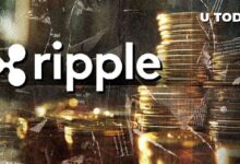 Ripple Labs en la Academia: Nuevos Datos Revelan Diversidad - Descubre Más - Cripto Boom