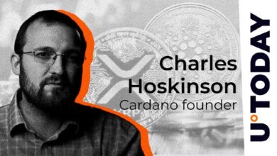 Hoskinson de Cardano Elogia al CEO de Ripple, Garlinghouse: Descubre por Qué - Cripto Boom