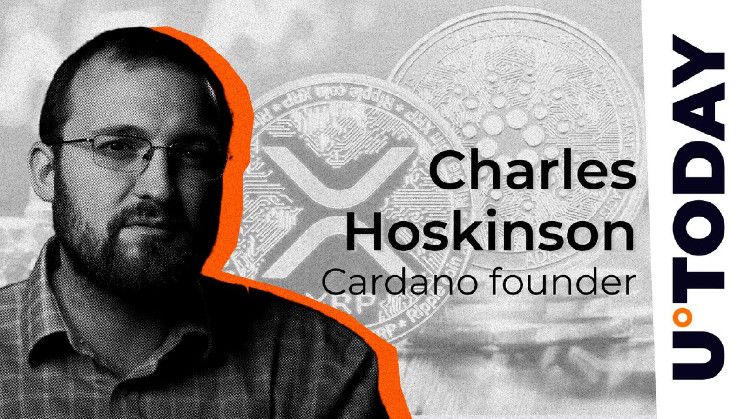 Hoskinson de Cardano Elogia al CEO de Ripple, Garlinghouse: Descubre por Qué - Cripto Boom