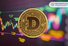 Más de 107 Ballenas Impulsan el Precio de Dogecoin a su Máximo de 3 Años: ¿Se Unirán Más Ballenas al Rally? Descúbrelo Aquí - Cripto Boom