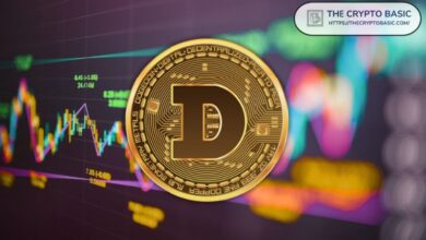 Más de 107 Ballenas Impulsan el Precio de Dogecoin a su Máximo de 3 Años: ¿Se Unirán Más Ballenas al Rally? Descúbrelo Aquí - Cripto Boom