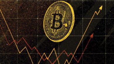 Récord Histórico de Bitcoin Pospuesto — ¡Sigue HODLeando! - Cripto Boom