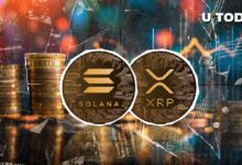 XRP Supera a Solana: Equilibrio en la Liquidación de Posiciones Largas y Cortas - Descubre Más - Cripto Boom