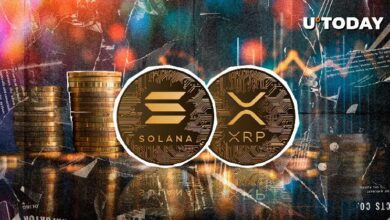 XRP Supera a Solana: Equilibrio en la Liquidación de Posiciones Largas y Cortas - Descubre Más - Cripto Boom