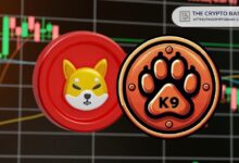 Equipo de Shiba Inu Ofrece Oportunidad para Ganar Dinero Extra ¡Descúbrelo! - Cripto Boom