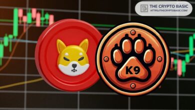 Equipo de Shiba Inu Ofrece Oportunidad para Ganar Dinero Extra ¡Descúbrelo! - Cripto Boom