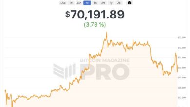 El Precio de Bitcoin Importa Mucho — Descubre por Qué - Cripto Boom