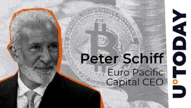 Peter Schiff reacciona al histórico ascenso de Bitcoin por encima de $82,000 - ¡Descubre lo que dice! - Cripto Boom