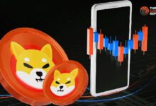 1.67T SHIB Abandonan Intercambios: ¿Puede Shiba Inu Repetir Historia con un Aumento del 62%? ¡Descúbrelo Ahora! - Cripto Boom