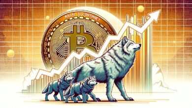 Precio del Bitcoin Vuelve a Subir con Trump Liderando: ¿Continuará el Rally? ¡Descúbrelo Ahora! - Cripto Boom