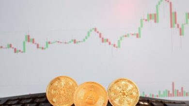 Bitcoin Cash y Cardano: ¡Descubre las Importantes Subidas en su Precio! - Cripto Boom