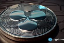 XRP, XLM, LTC: Descubre las principales criptomonedas de la semana y no te las pierdas - Cripto Boom