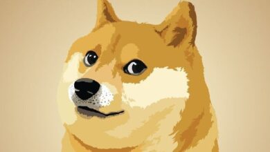 ¡Dogecoin se dispara a 43 centavos por el entusiasmo electoral! - Cripto Boom