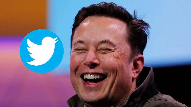 ÚLTIMA HORA: ¡Elon Musk Lo Hace de Nuevo! Descubre el Memecoin Más Hablado del Último Ciclo - Cripto Boom