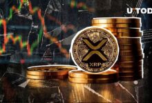 3 Niveles de XRP a Vigilar si se Rompe el Soporte de $0.5 - ¡Descubre Más! - Cripto Boom