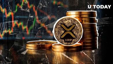 3 Niveles de XRP a Vigilar si se Rompe el Soporte de $0.5 - ¡Descubre Más! - Cripto Boom