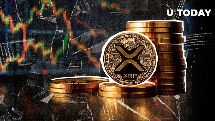 3 Niveles de XRP a Vigilar si se Rompe el Soporte de $0.5 - ¡Descubre Más! - Cripto Boom