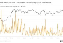 La Caída del Bitcoin el Jueves Provocó Ventas de Pánico entre Inversores a Corto Plazo: Descubre los Detalles con Van Straten - Cripto Boom