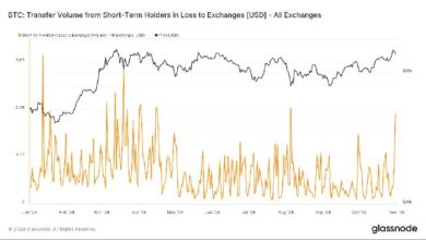 La Caída del Bitcoin el Jueves Provocó Ventas de Pánico entre Inversores a Corto Plazo: Descubre los Detalles con Van Straten - Cripto Boom