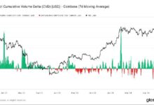 Descubre el Origen de la Demanda: Bitcoin Supera los $82,000 según Van Straten - Cripto Boom