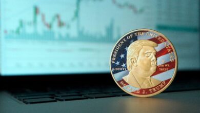 ¡Moneda meme de Trump, PNUT, se dispara un 320% en 24 horas tras victoria electoral! Descubre más aquí - Cripto Boom