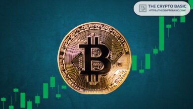 Datos Revelan que Titulares de Largo Plazo Venden 507K BTC Valuados en $47B mientras Bitcoin Apunta a $100K – ¡Descubre más! - Cripto Boom