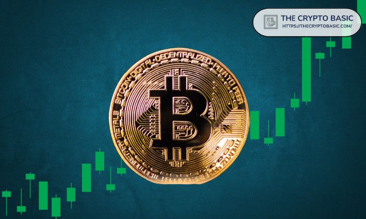 Datos Revelan que Titulares de Largo Plazo Venden 507K BTC Valuados en $47B mientras Bitcoin Apunta a $100K – ¡Descubre más! - Cripto Boom