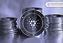 Veterano del Mercado Niega Haber Provocado la Caída de Cardano: Descubre la Verdad - Cripto Boom