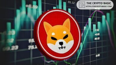 Analista Destacado Apunta a 2X de Ganancia con Shiba Inu: ¡Prevé Aumento Explosivo a $0.000043! - Cripto Boom