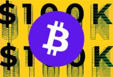 ¿Bitcoin Se Derrumbará Tras Alcanzar $100,000? Descubre Más Aquí - Cripto Boom