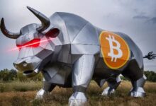 ¡El Precio de Bitcoin Sube de Récord en Récord! Estamos Justo por Debajo de $80,000. ¿Cuál es la Razón de la Subida? Descúbrelo Aquí... - Cripto Boom