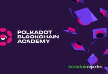 Academia Blockchain de Polkadot Lanza PBA-X para Formar Profesionales en Web3: ¡Únete a la Revolución Digital! - Cripto Boom