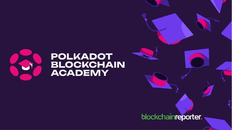 Academia Blockchain de Polkadot Lanza PBA-X para Formar Profesionales en Web3: ¡Únete a la Revolución Digital! - Cripto Boom