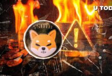 Alerta Crucial de Quema de SHIB para la Comunidad de Shiba Inu: ¡Descubre los Detalles! - Cripto Boom