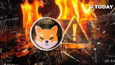 Alerta Crucial de Quema de SHIB para la Comunidad de Shiba Inu: ¡Descubre los Detalles! - Cripto Boom