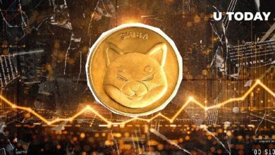 La Tasa de Quema de Shiba Inu (SHIB) Desciende: Descubre el Motivo Detrás - Cripto Boom