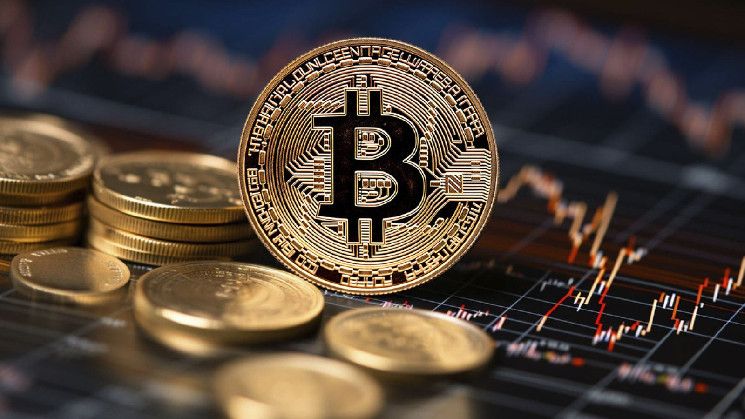 Descubre Por Qué Este Ciclo del Mercado de Bitcoin es Diferente - Cripto Boom