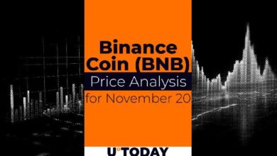 Predicción del Precio de Binance Coin (BNB) para el 20 de Noviembre: ¡Descubre su Futuro! - Cripto Boom