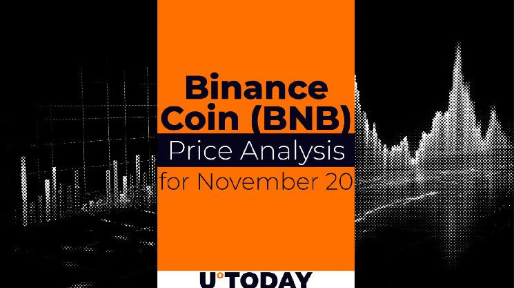 Predicción del Precio de Binance Coin (BNB) para el 20 de Noviembre: ¡Descubre su Futuro! - Cripto Boom